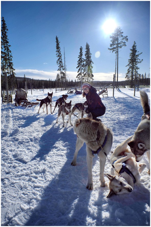 14_FIN7561lapland3:2015©homolka_Snapseed