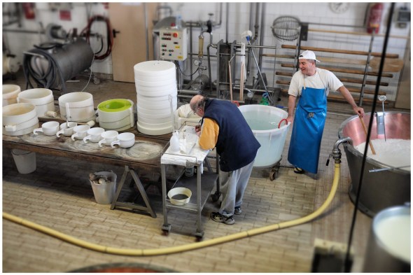 7_par0602parma_er_foodvalleyhomolka