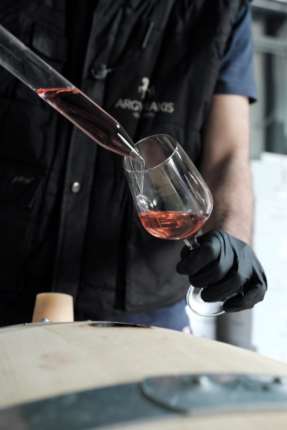 VERIA_PHOOD__IMA1668©HOMOLKA.CC