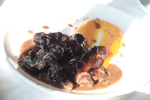 VERIA_PHOOD__IMA6235©HOMOLKA.CC